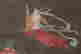 item-131324169=4