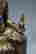 item-131324217=5