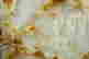item-131324226=5