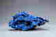 item-131324231=10