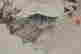 item-131324257=6