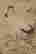 item-131324259=5