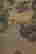 item-131324260=9