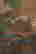 item-131324261=3
