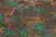 item-131324261=6
