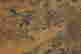 item-131324268=11