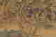 item-131324268=13