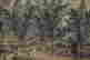 item-131324273=4
