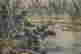 item-131324273=6