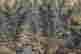 item-131324273=7