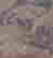 item-136924723=7