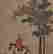 item-136925016=5