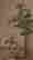 item-136925016=9