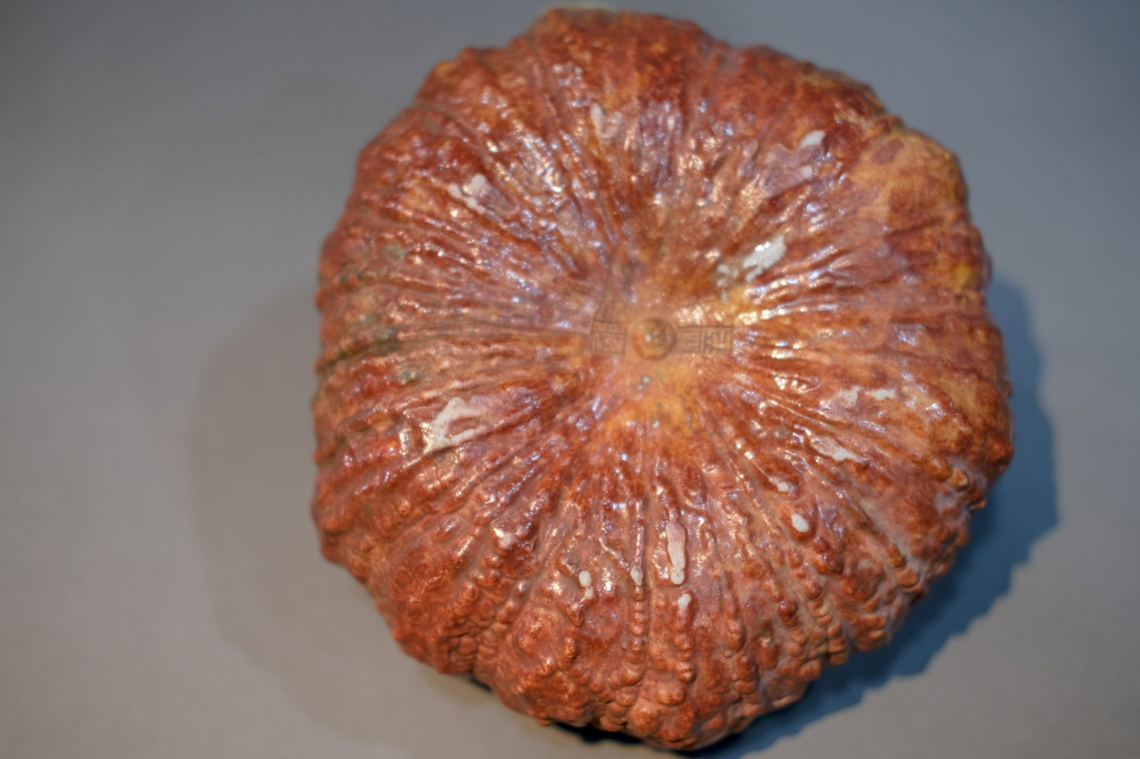 BIONIC PORCELAIN PUMPKIN-SHAPE ORNAMENT - 5