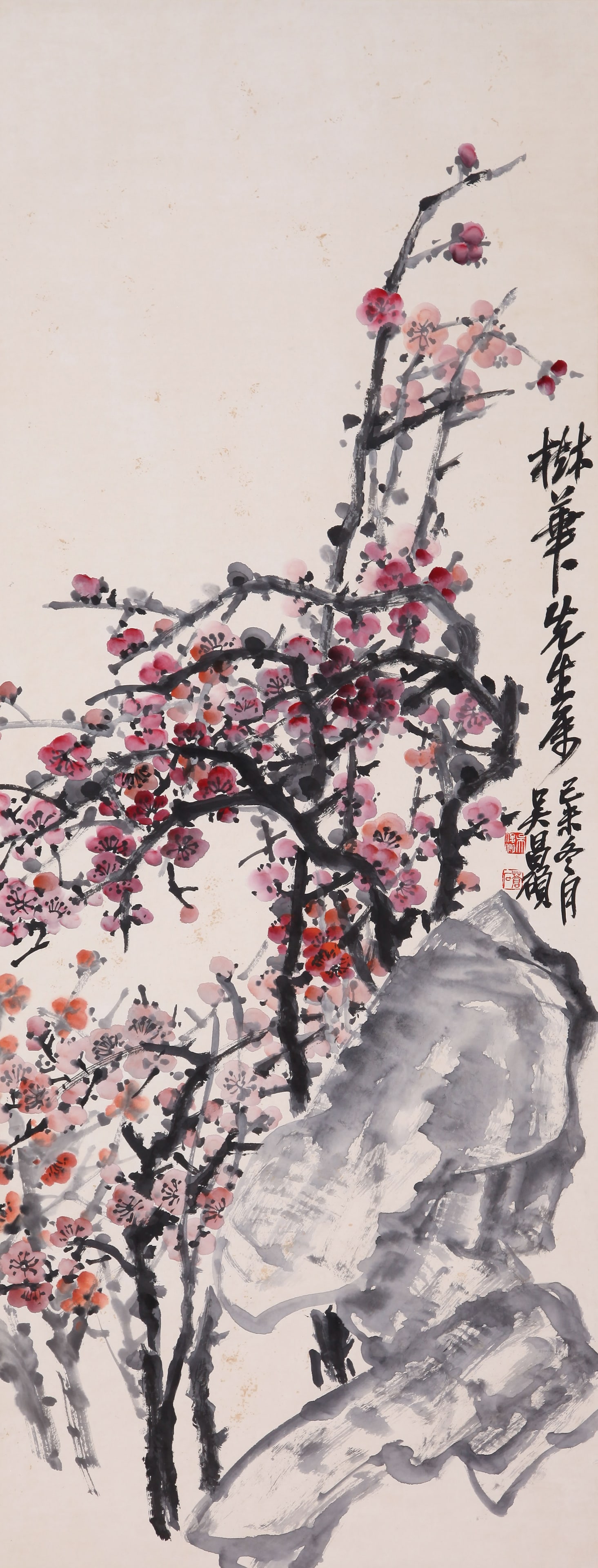 WU CHANGSHUO, ATTRIBUTED TO, PLUM BLOSSOMS AND ROCK, HANGING SCROLL: Attributed to Wu Changshuo. Plum Blossoms and Rock. Ink and color on paper, hanging scroll. 133 x 51.5 cm. Condition: Creases, stains and yellow spots on the mounting and the painting.