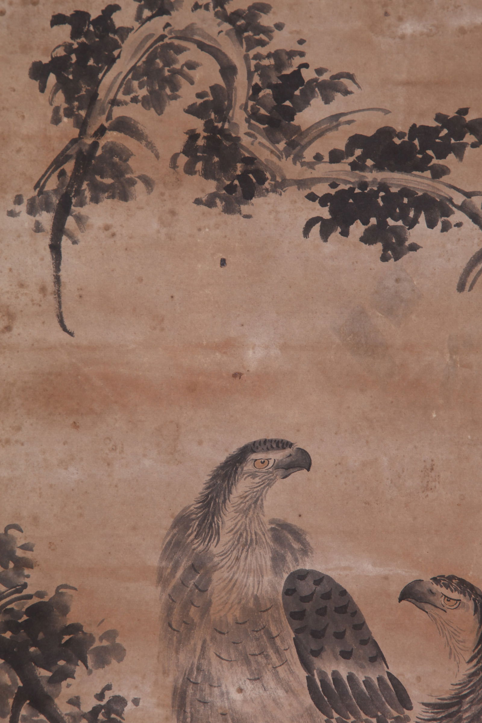 BADA SHANREN, ATTRIBUTED TO, TWO EAGLES, HANGING SCROLL - 5
