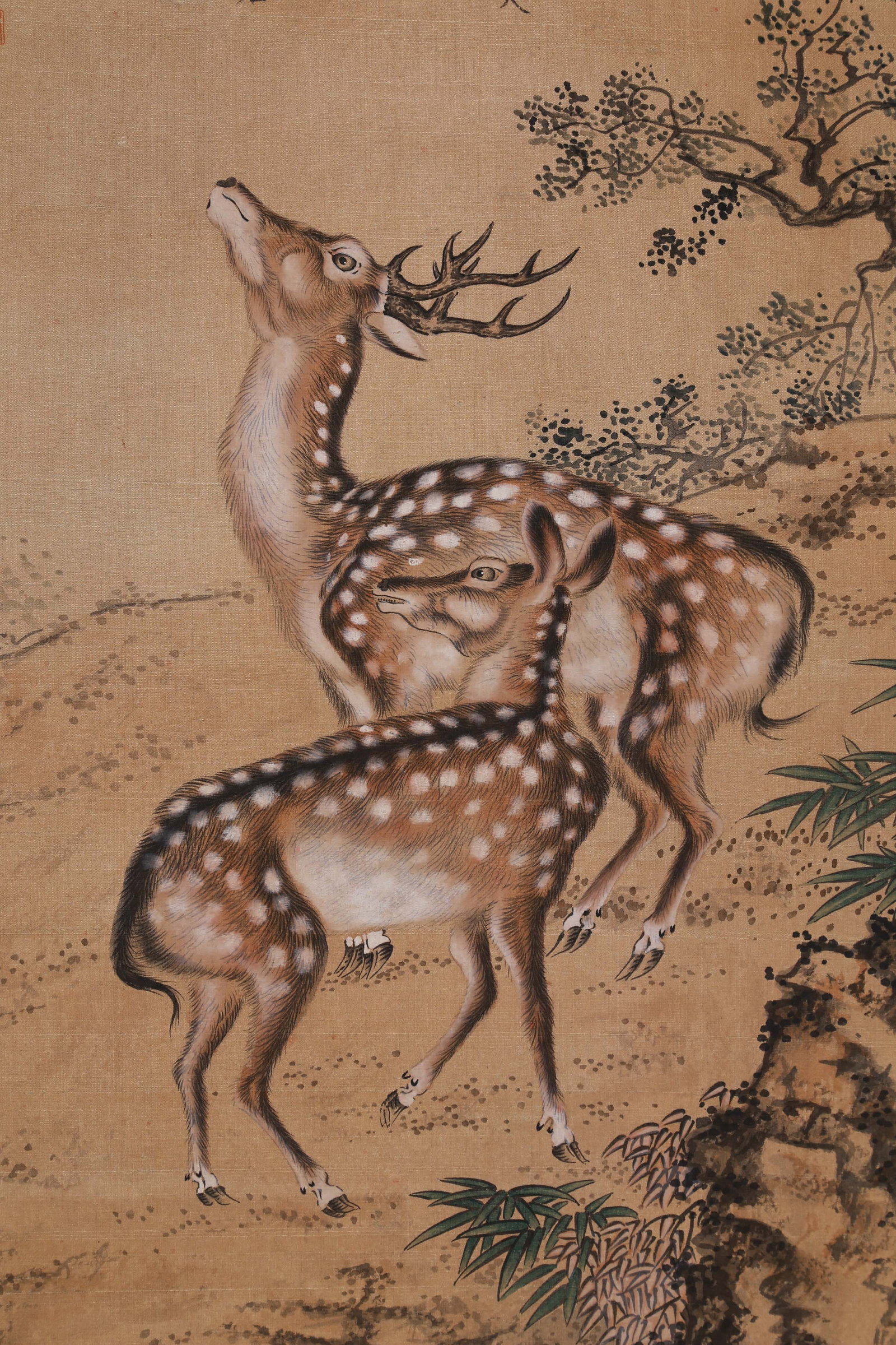 SHEN QUAN (SHEN CH'UAN), ATTRIBUTED TO, TWO DEER, HANGING SCROLL - 3