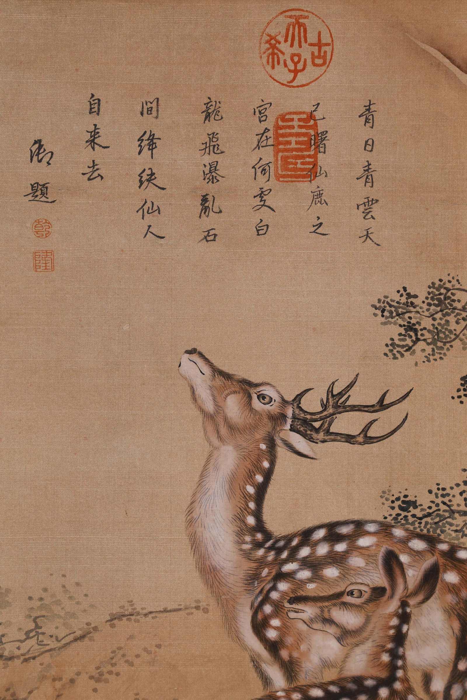 SHEN QUAN (SHEN CH'UAN), ATTRIBUTED TO, TWO DEER, HANGING SCROLL - 7