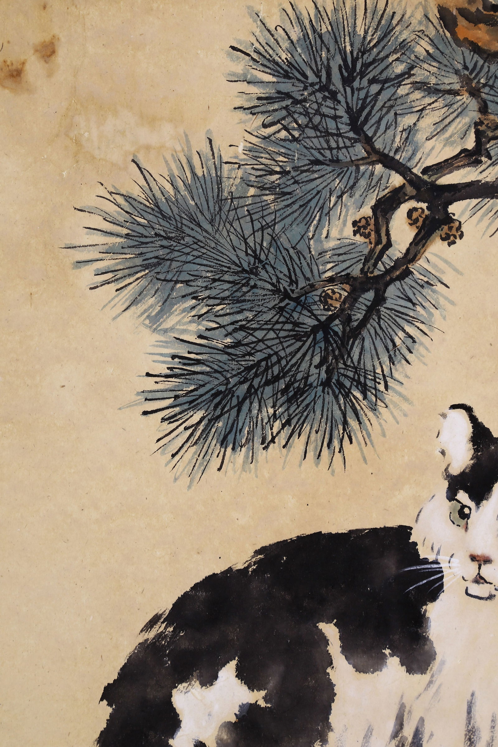 XU BEIHONG (HSU PEI-HUNG), ATTRIBUTED TO, CAT, MOUNTED FOR FRAMING - 7