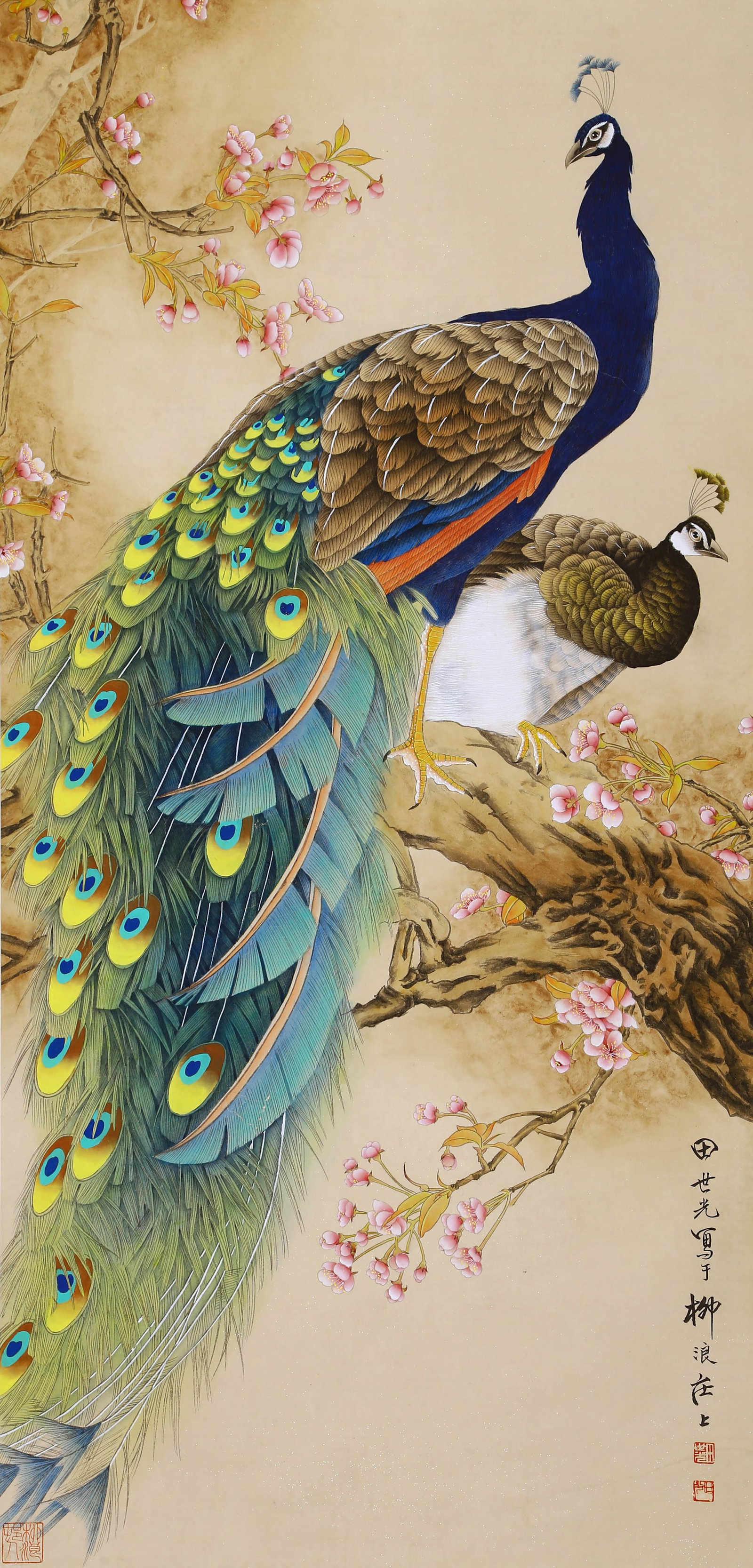 TIAN SHIGUANG, ATTRIBUTED TO, PAIR OF PEAFOWL AMONG BLOSSOMS, HANGING SCROLL: Attributed to Tian Shiguang, a pair of peafowl among blossoms. On paper, hanging scroll. 137.5 x 62 cm.