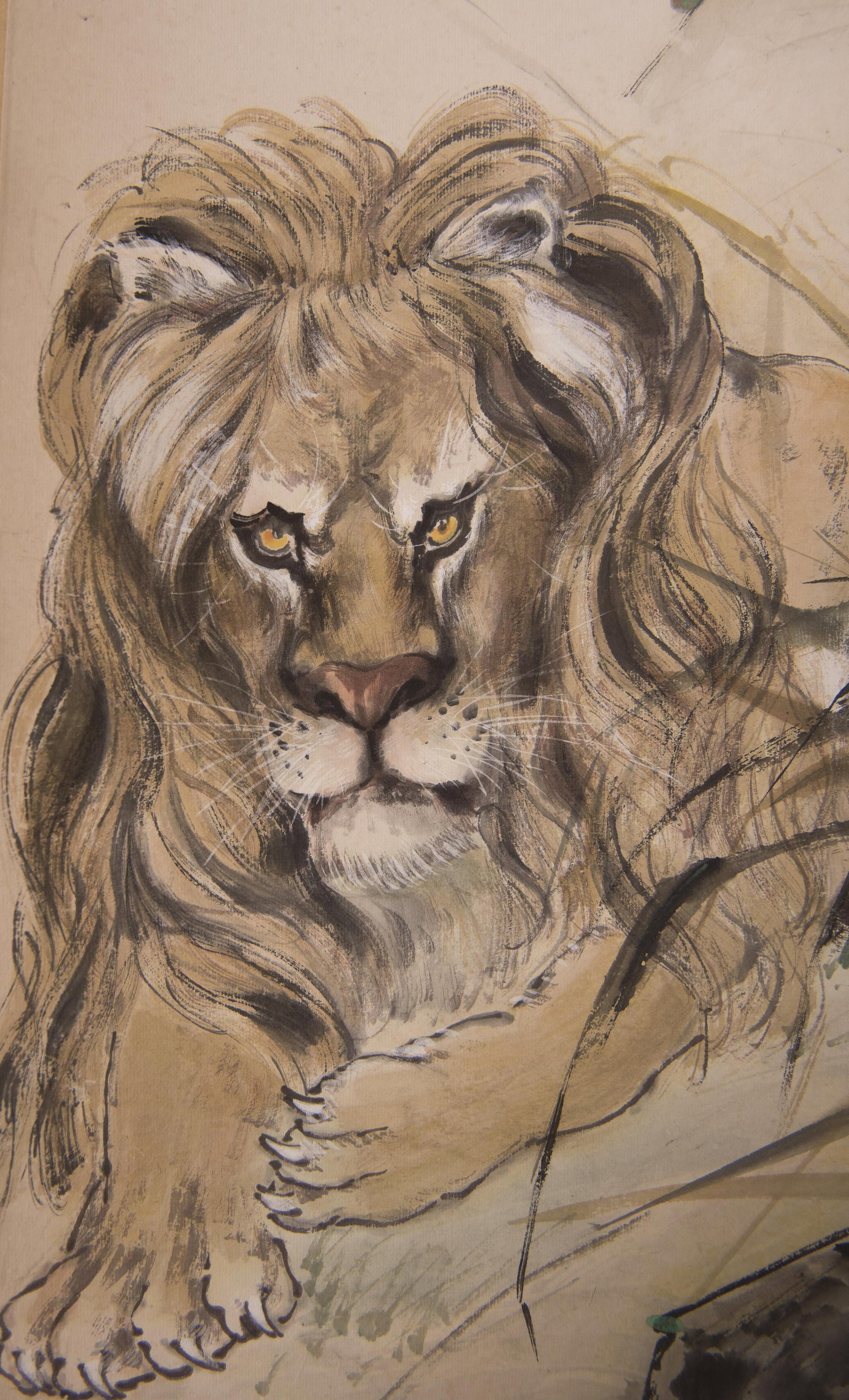 ANONYMOUS, LION - 2