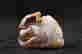 item-28631173=2