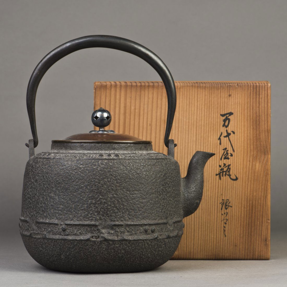 A JAPANESE IRON TEAPOT (1 of 9)