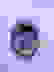 item-26770158=3