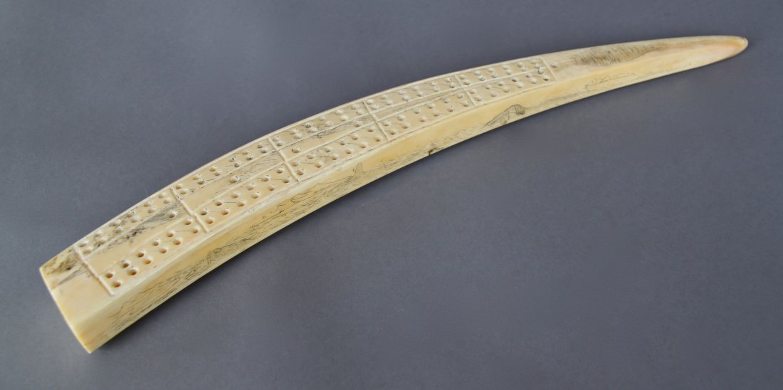 Walrus Tooth Scrimshaw, Older [Height/Length (in)= 15,: Walrus Tooth Scrimshaw, Older [Height/Length (in)= 15, Width (in)=2, Depth (in)=1.25, Weight (lbs)=0.5] With C.O.A. signed by Chief Joe Dan Osceola & Seminole Tribe.