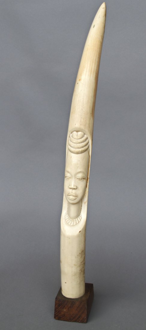 African Carved Ivory Tusk, Woman (2 of 2): African Carved Ivory Tusk, Woman (2 of 2) [Height/Length (in)= 24, Width (in)=2.5, Depth (in)=2, Weight (lbs)=5] With Pangaea Auctions C.O.A.