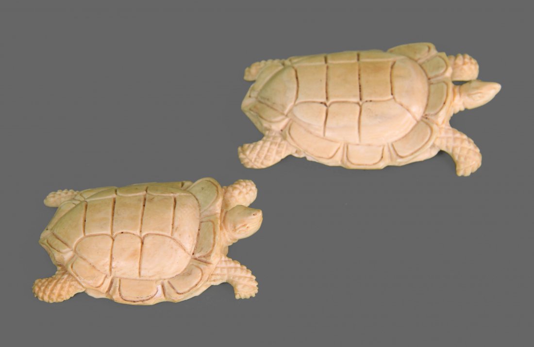 Two (2) Antique Ivory Carved Turtle, Native American: Two (2) Antique Ivory Carved Turtle, Native American