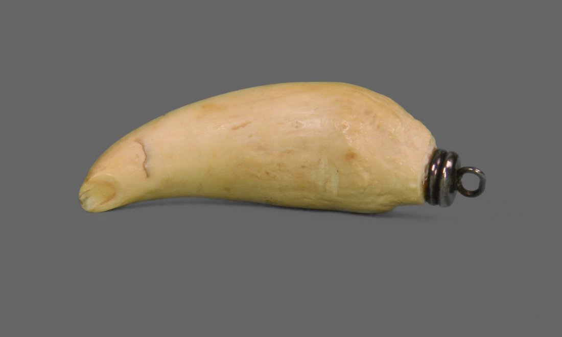 Rare American Civil War 5th Regiment Alligator Tooth: Rare American Civil War 5th Regiment Alligator Tooth and Silver Pendant. Engraving "D. Todd 5th Regiment N.P. 1863".