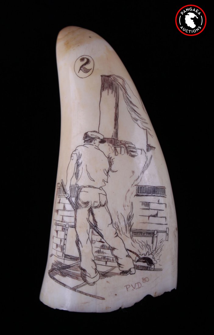 Antique whale tooth with exquisite scrimshaw scene of: Antique whale tooth with exquisite scrimshaw scene of man burning coal. Signed P.V.D. 80. #2 SIZE: see attached ruler photo. Photos are part of the description representing the condition report and ca