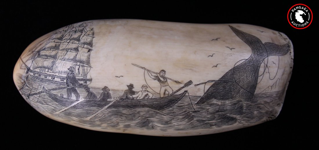 Antique whale tooth with scrimshaw scene of sailors: Antique whale tooth with scrimshaw scene of sailors harpooning a whale. SIZE: see attached ruler photo. Photos are part of the description representing the condition report and can be used for authent