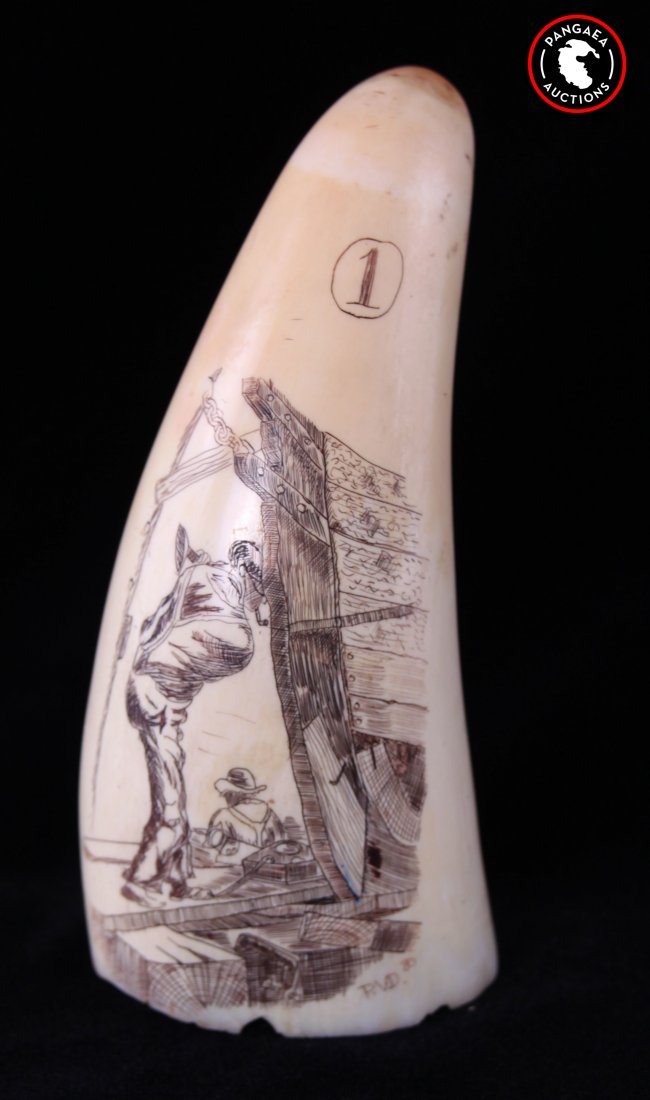 Antique whale tooth with scrimshaw scene of ship: Antique whale tooth with scrimshaw scene of ship workers. Signed P.V.D. 80 #1 SIZE: see attached ruler photo. Photos are part of the description representing the condition report and can be used for a