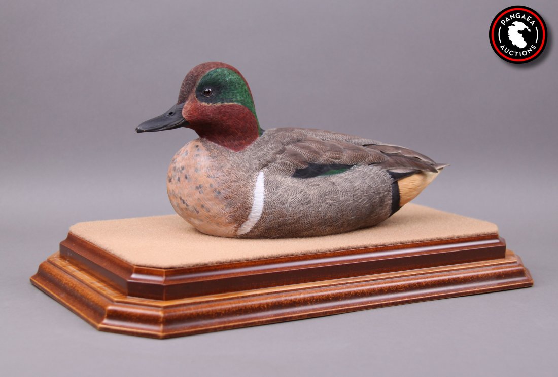 William Bishop, Duck Decoy, "Green Wing Teal". Hand: William Bishop, Duck Decoy, "Green Wing Teal". Hand painted hand carved wood sculpture capturing every feather and fine detail. SIZE: see attached ruler photo. Photos are part of the description repre