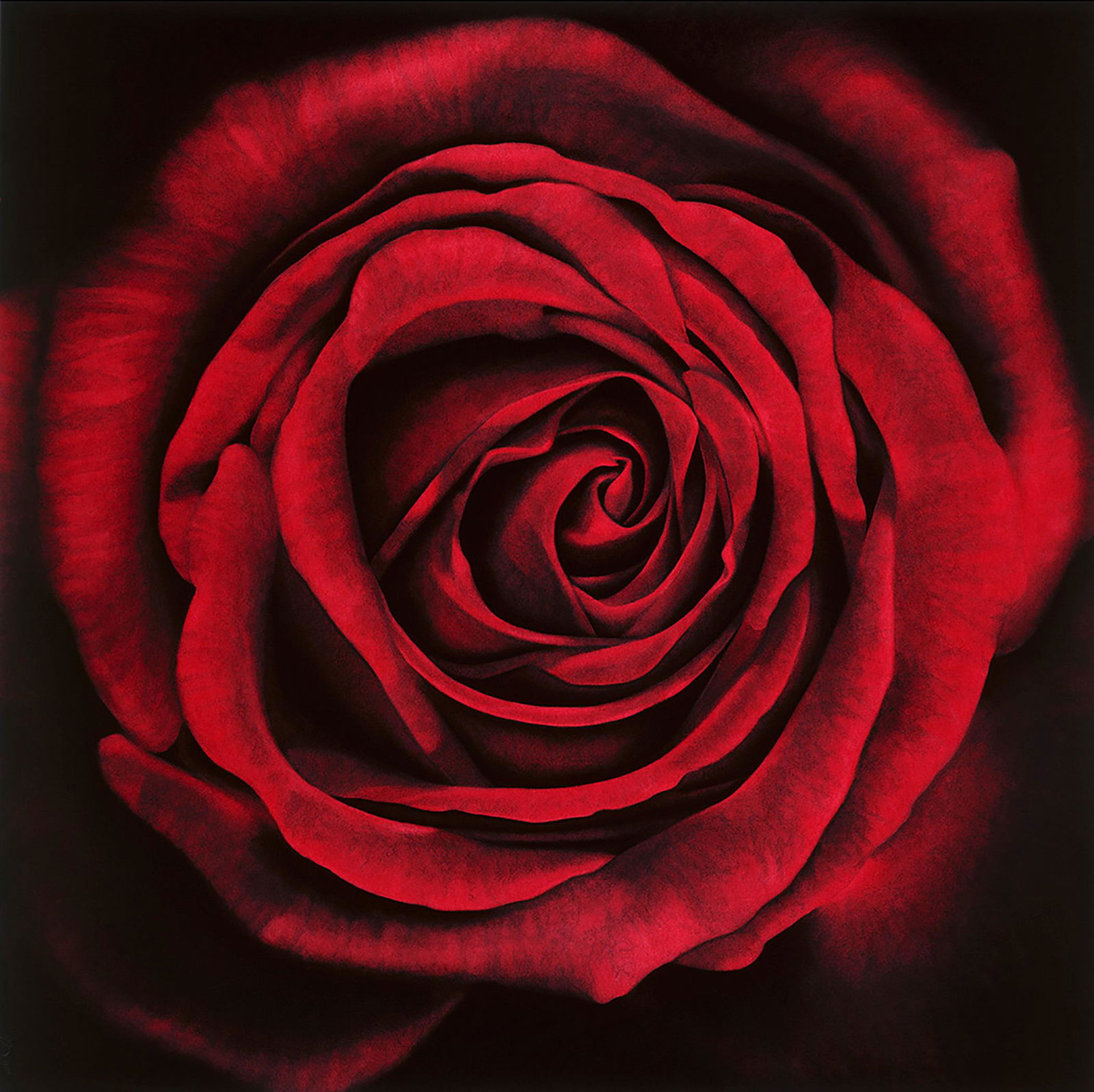 ROBERT LONGO (1953 New York City): OpheliaPigmentdruck auf leichtem Velinkarton. 2005.35,5 x 35,5 cm (38 x 38 cm). Signiert â€žLongoâ€œ, datiert und bezeichnet "P(rinters)P(roof)". Auflage 15 num. Ex.Brillanter, Ã¤uÃŸerst f