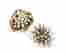item-51850228=1