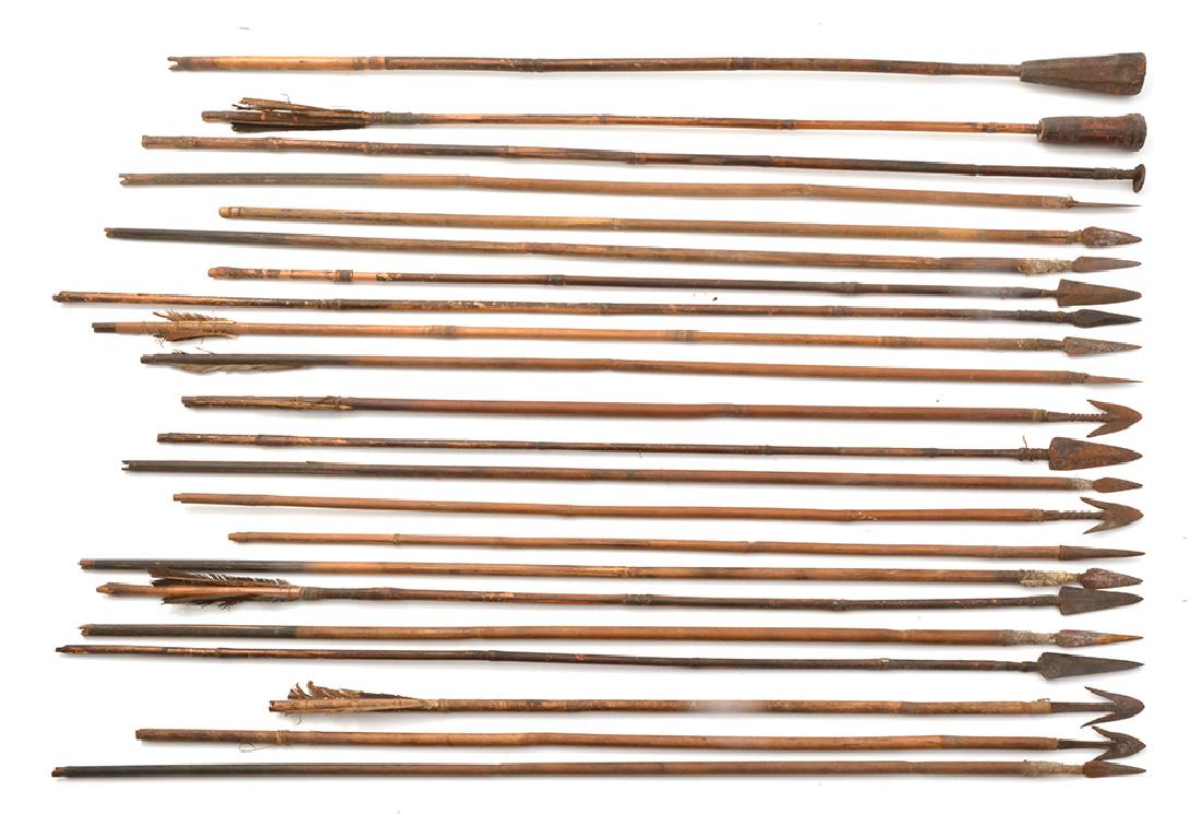 Lot of 22 PRIMITIVE ARROWS of miscellaneous origins. (1 of 1)