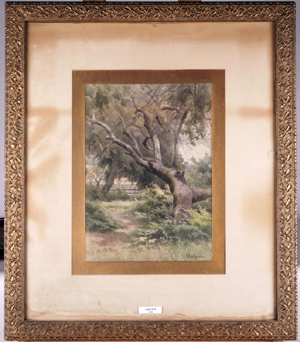 M. DE L'AUBINIÈRE, Forest (1 of 1)