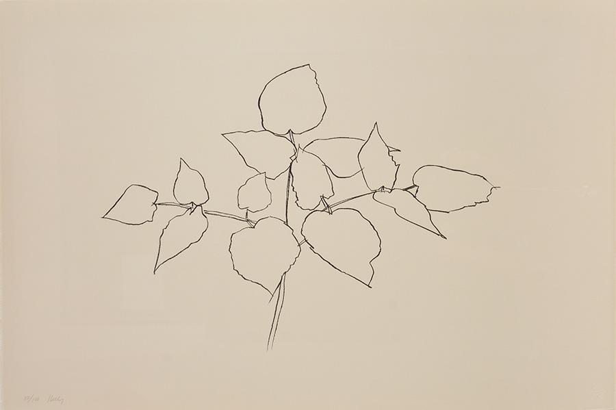 KELLY, Ellsworth (1923-) (1 of 5)