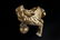 FINE TANG DYNASTY GILT BRONZE QILIN - Mtl | Mid-West - 4