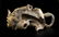 FINE TANG DYNASTY GILT BRONZE QILIN - Mtl | Mid-West - 6