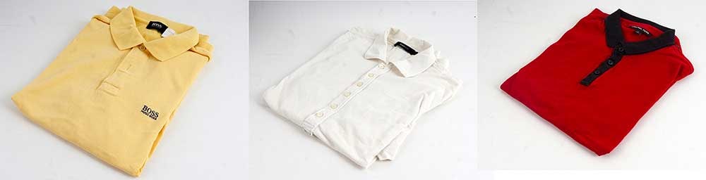 POLO (1 of 2)
