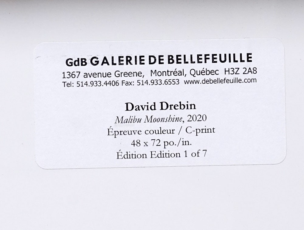 DREBIN, David (1970-) - 4