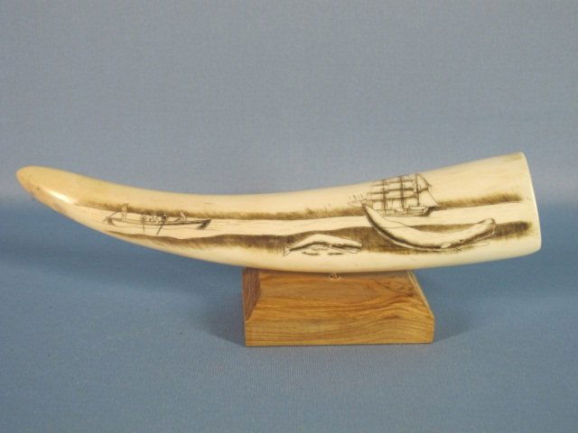 Walrus Tusk Scrimshaw: Walrus Tusk Scrimshaw on stand, signed ME Lena, Moby Dick, L 8 3/4".