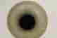 item-17851890=2