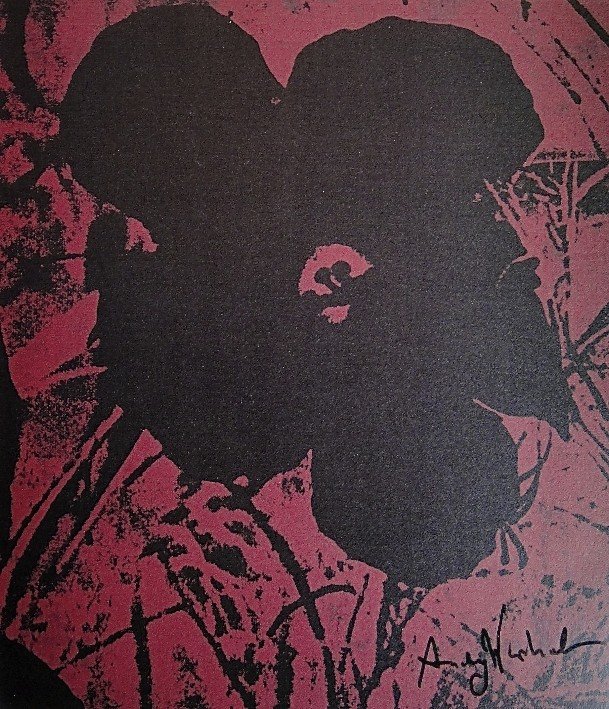 ANDY WARHOL, Signed Print, Flowers: Andy WARHOL, "Flowers", hand signed Offset Print. From a signed VIP-catalog from 1982. Hand signed by Andy Warhol in black pen. Size: 11.2 x 9.5 in (28 x 24 cm) printed on the back. Excellent conditio