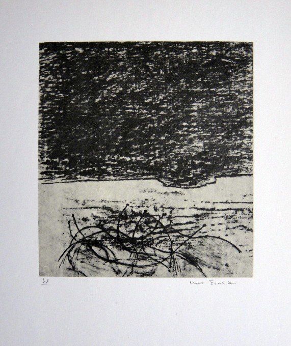 Max Ernst, signed Lithogrraph, 1957: Lithograph from Max Ernst, published in 1957. Hand signed by Ernst, signature and 61 in pencil. From a VIP book "Historie naturelle II". Prov: Galerie Berggruen, Paris. Size: 12.2 x 10.6 inches (31 x