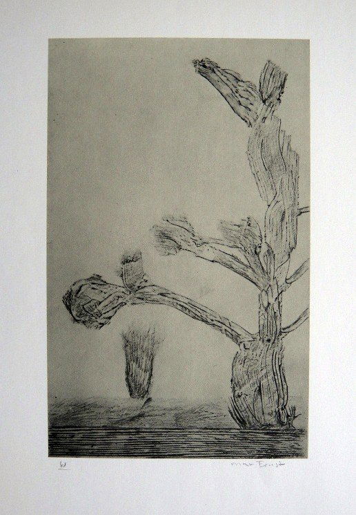 Max Ernst, signed Lithogrraph, 1957: Lithograph from Max Ernst, published in 1957. Hand signed by Ernst, signature and 61 in pencil. From a VIP book "Historie naturelle II". Prov: Galerie Berggruen, Paris. Size: 12.2 x 10.6 inches (31 x